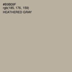 #B9B09F - Heathered Gray Color Image